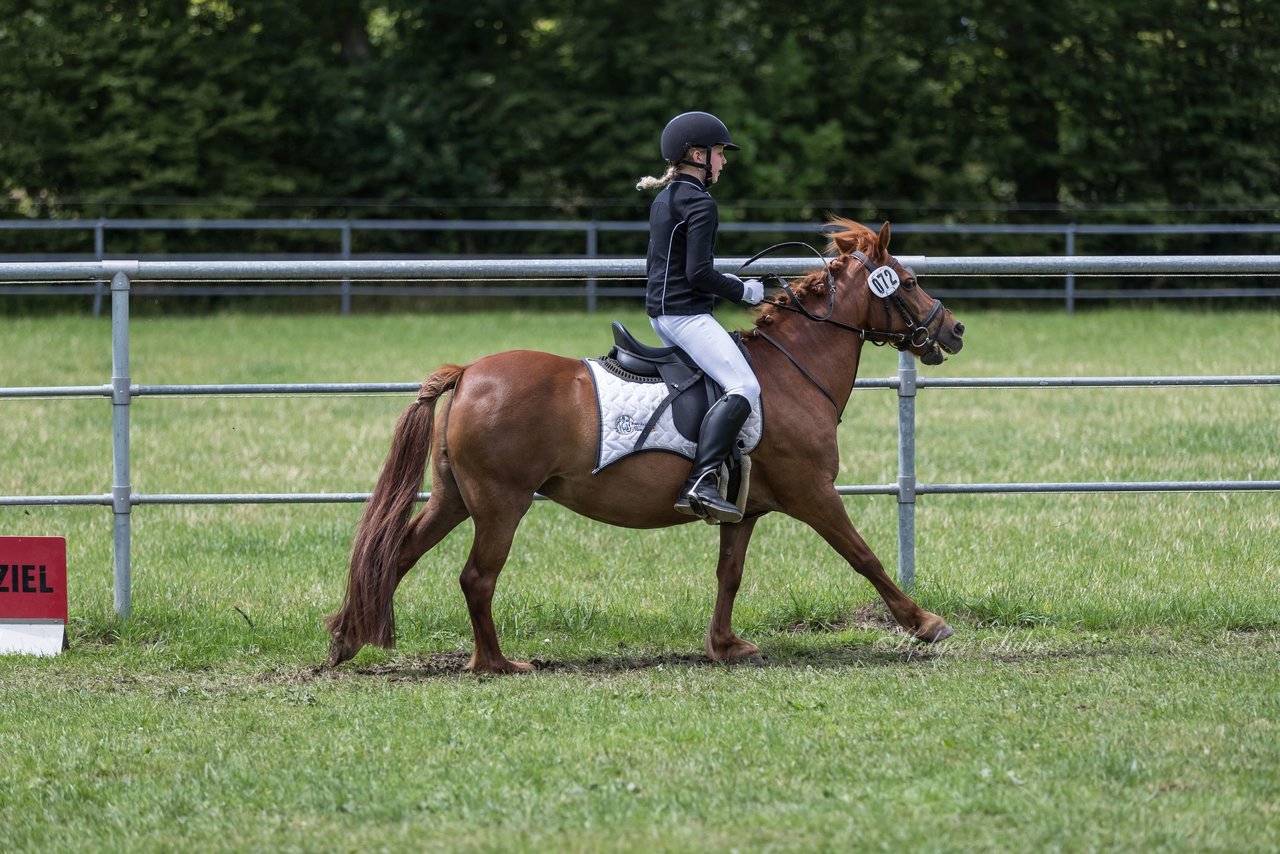 Bild 31 - Pony Akademie Turnier